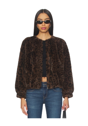 HEARTLOOM Patty Coat in Brown. Size L. Also in M, S, XL, XS.