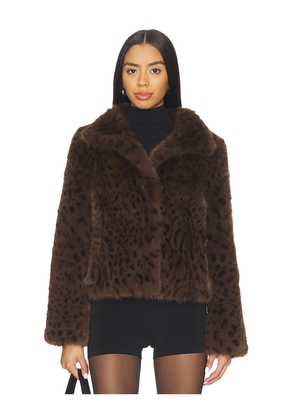 Generation Love Lexy Leopard Faux Fur Jacket in Brown. Size L. Also in M, S, XL, XS.