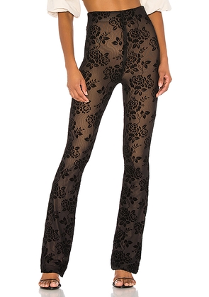 MAJORELLE Lars Pant in Black. Size L. Also in M, XL, XS, XXS.