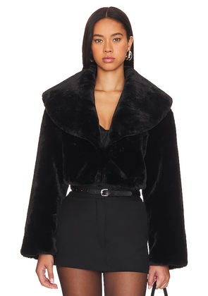 LAMARQUE Danika Cropped Jacket in Black. Size L. Also in S, XL.