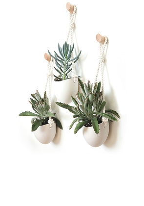Light + Ladder Spora Hanging Planter & Maple Hook Set in White.