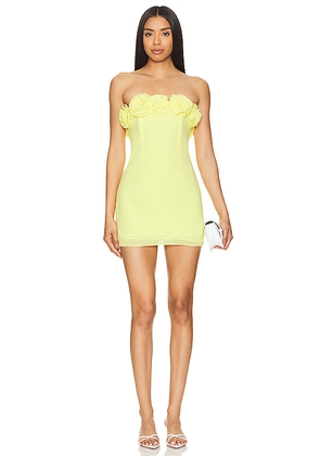 Lovers and Friends Jemma Mini Dress in Yellow. Size M. Also in L, S, XL, XS, XXS.