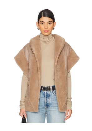 Line & Dot Ace Vest in Tan. Size M/L. Also in XS/S.