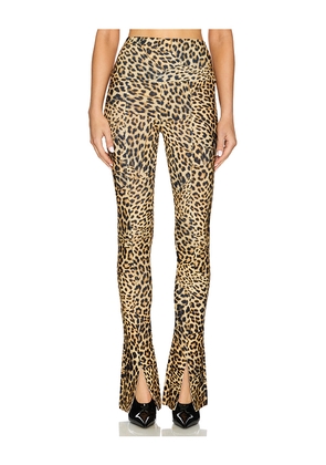 Norma Kamali Spat Legging in Brown. Size L. Also in M, S, XL, XS, XXS.