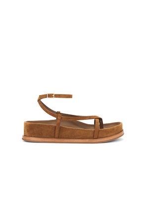 Loeffler Randall Ankle Wrap Footbed Sandal in Brown. Size 8.5. Also in 9.