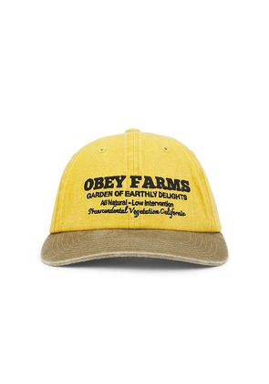 Obey Farms 6 Panel Strapback Cap in Mustard.