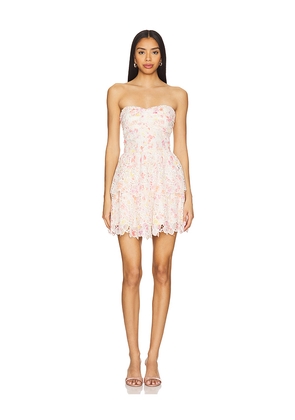 Line & Dot Rosa Mini Dress in Cream. Size L. Also in M.