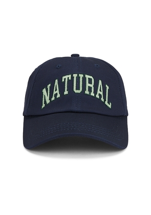 Museum of Peace and Quiet Natural Dad Hat in Blue.