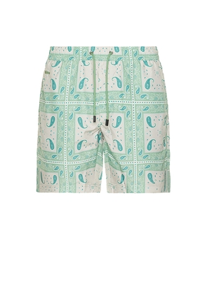 Nikben El Pino Tres Swim Trunks in Mint. Size S. Also in XL/1X.