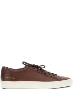 Common Projects lace-up leather sneakers - Brown