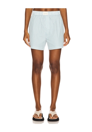 Museum of Peace and Quiet Wordmark Boxer in Baby Blue. Size L. Also in S.