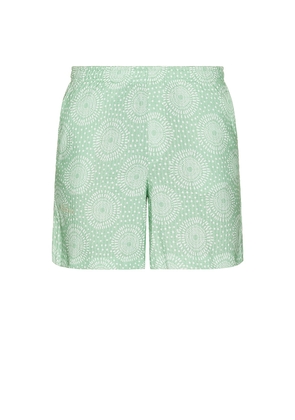 Nikben Prainha Shorts in Mint. Size L. Also in M.