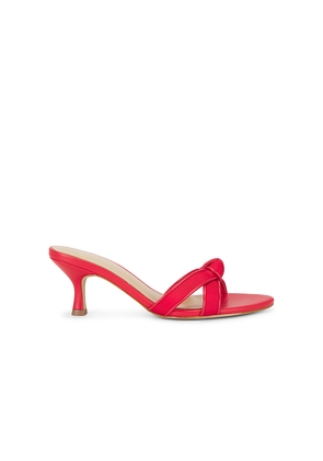 LPA Livia Sandal in Red. Size 5.5. Also in 6, 7, 7.5, 8.5.