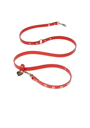 Little Beast Ruby Flower Power Leash in Red.