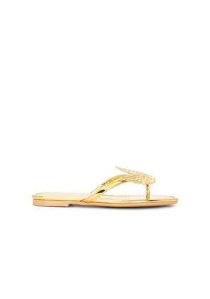 NIIHAI Wings Sandal in Metallic Gold. Size 36. Also in 37.