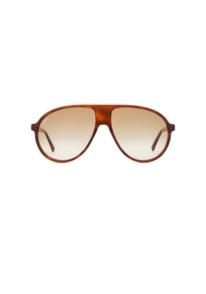 Lexxola Bella Sunglasses in Brown.