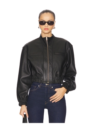 LAMARQUE Edith Jacket in Black. Size L. Also in S, XS.