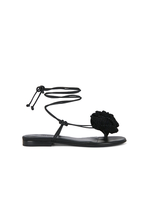 Magda Butrym Wrap Around Flower Sandal in Black. Size 36. Also in 36.5, 37, 37.5, 38, 38.5, 39, 40.