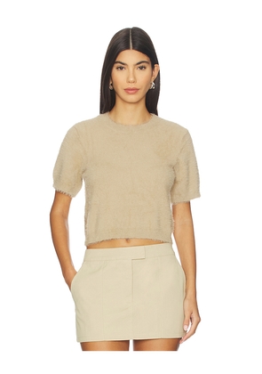 MADISON THE LABEL Ruby Knit Tee in Tan. Size L. Also in M, S, XL/1X, XS.