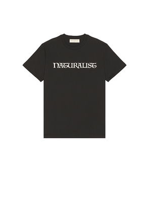 Museum of Peace and Quiet Naturalist T-Shirt in Black. Size L. Also in M, S, XS.