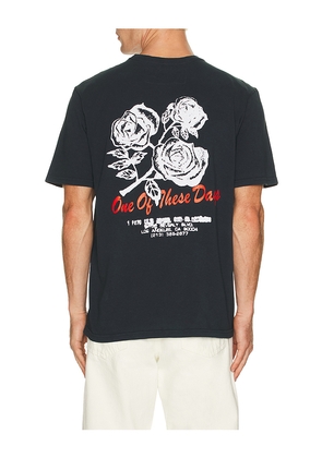 ONE OF THESE DAYS Sweet Jane Tee in Black. Size L. Also in M, S, XL/1X.