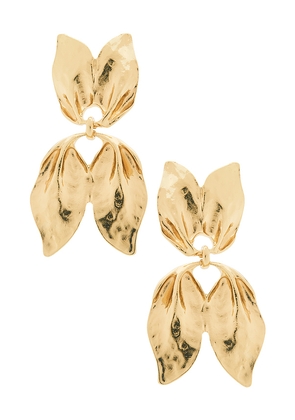 Lovers and Friends Aya Earrings in Metallic Gold.