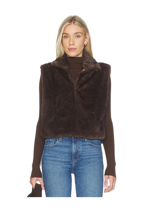 Line & Dot Dane Faux Fur Top in Brown. Size M/L. Also in XS/S.