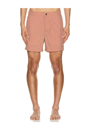 onia Calder Buckle 5 Swim Trunk in Brick,White. Size 30. Also in 32, 34, 36.