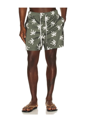 onia Charles 5 Swim Trunk in Olive. Size L. Also in M, XL.