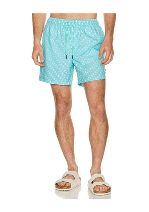 Original Penguin 5 Box Rec Swim Shorts in Baby Blue. Size L. Also in M, S, XL/1X.