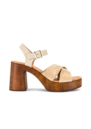 Seychelles Paloma Sandal in Tan. Size 10. Also in 9, 9.5.