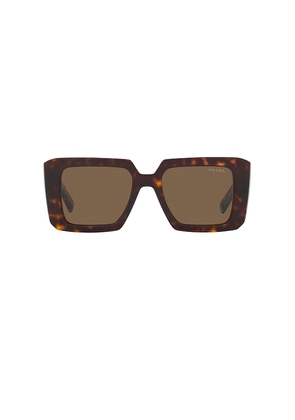 Prada Square Sunglasses in Chocolate.