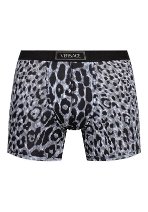 Versace leopard-print waistband boxers - Grey