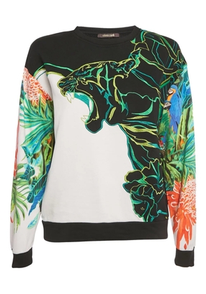 Roberto Cavalli graphic-embroidered cotton sweatshirt - Black
