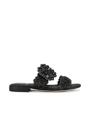Sam Edelman Elisa Sandal in Black. Size 7.5. Also in 8.
