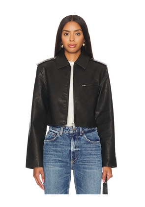 Steve Madden Verone Jacket in Chocolate. Size L. Also in M, S, XL, XS.