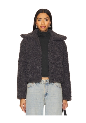 Steve Madden Pippin Jacket in Grey. Size L. Also in XL.