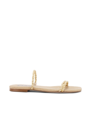Steve Madden Tahiti Sandal in Metallic Gold. Size 10. Also in 6.