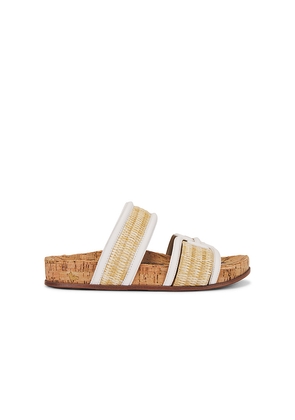 Sam Edelman Rowan Sandal in Tan. Size 10. Also in 6, 6.5, 7.5, 8, 8.5, 9.5.