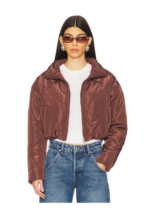 superdown Rania Cropped Jacket in Brown. Size L. Also in M, XL.