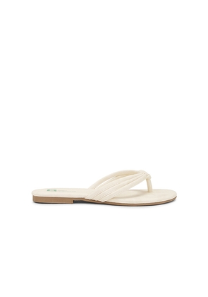 Seychelles Laguna Sandal in Cream. Size 6.5. Also in 6.
