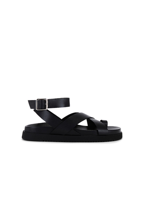 Steve Madden Mira Sandals in Black. Size 7. Also in 8.5.