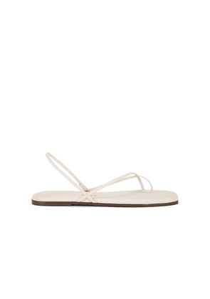 TKEES Square Toe Millie Sandal in Cream. Size 10. Also in 11, 8, 9.