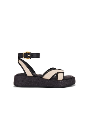 Sam Edelman Nylie Sandal in Black. Size 7. Also in 8.5, 9.