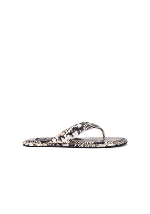 SENSO Innika III Flip Flop in Beige. Size 36. Also in 37, 38, 39, 40.