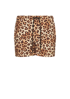 Runaway The Label Amalfi Boardshort in Leopard in Brown. Size M. Also in S.