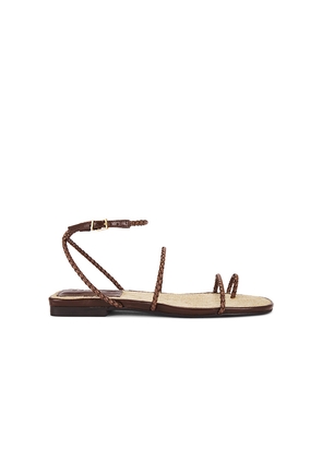 Schutz Kaya Flat Sandal in Brown. Size 10. Also in 6.5, 7.5, 8, 8.5, 9.5.