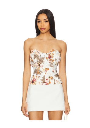 Ronny Kobo Vittoria Corset in Pink,Brown. Size M. Also in XS.