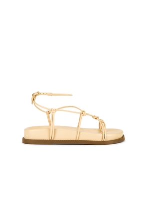 Schutz Calabria Sporty Sandal in Neutral. Size 7. Also in 7.5, 8, 8.5, 9.5.