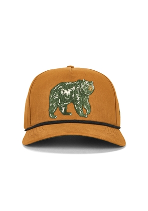 Sendero Provisions Co. Bear Cap in Orange.